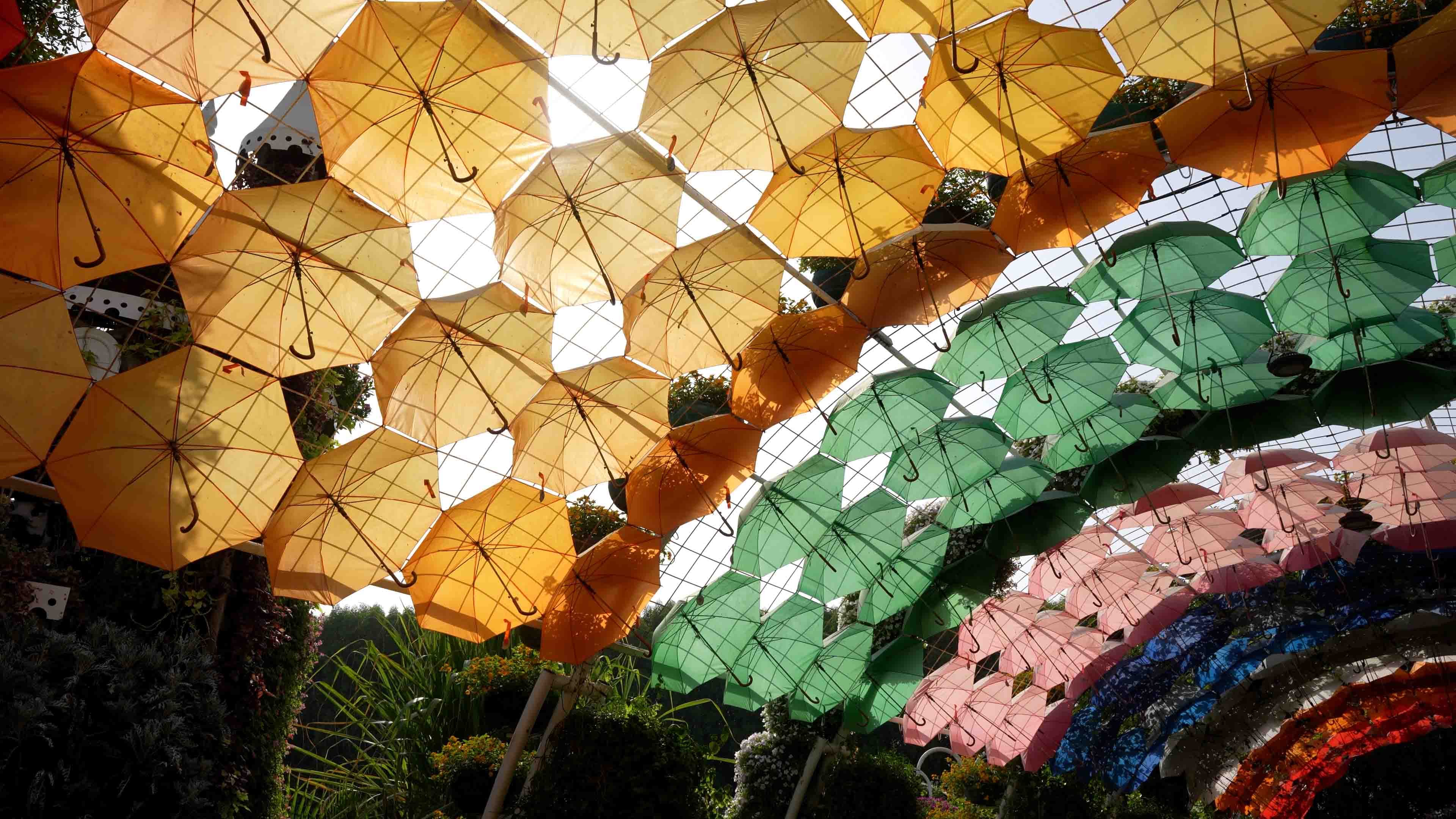 Umbrella Passage — photo 2