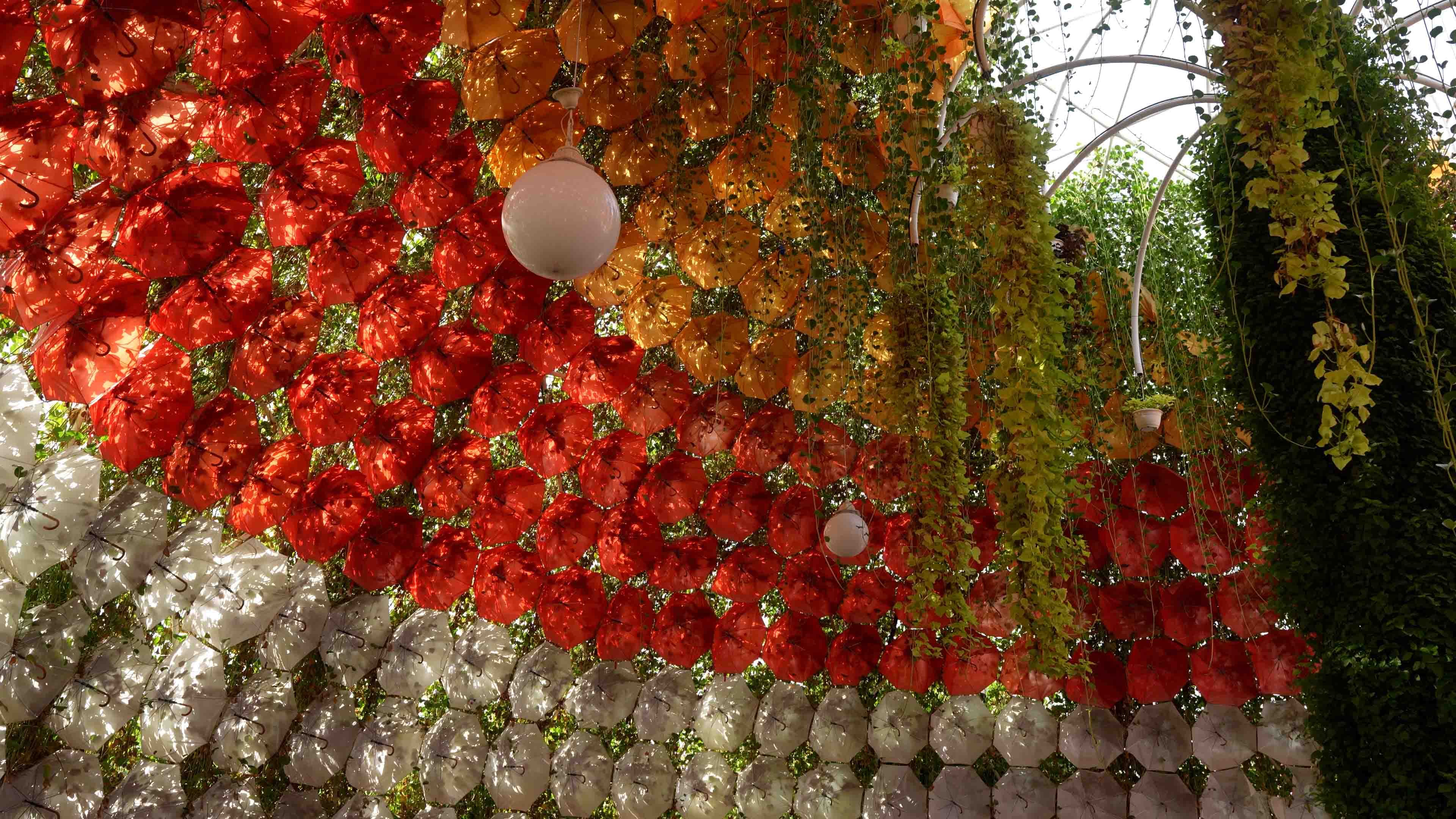 Umbrella Passage — photo 3