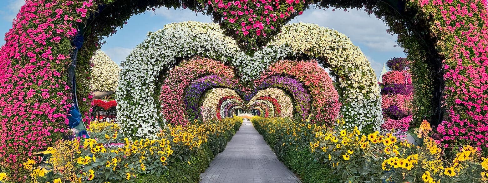 Heart Tunnel